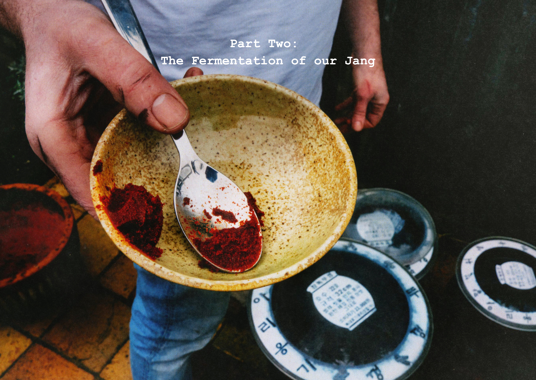Onggi imagery newsletters 2