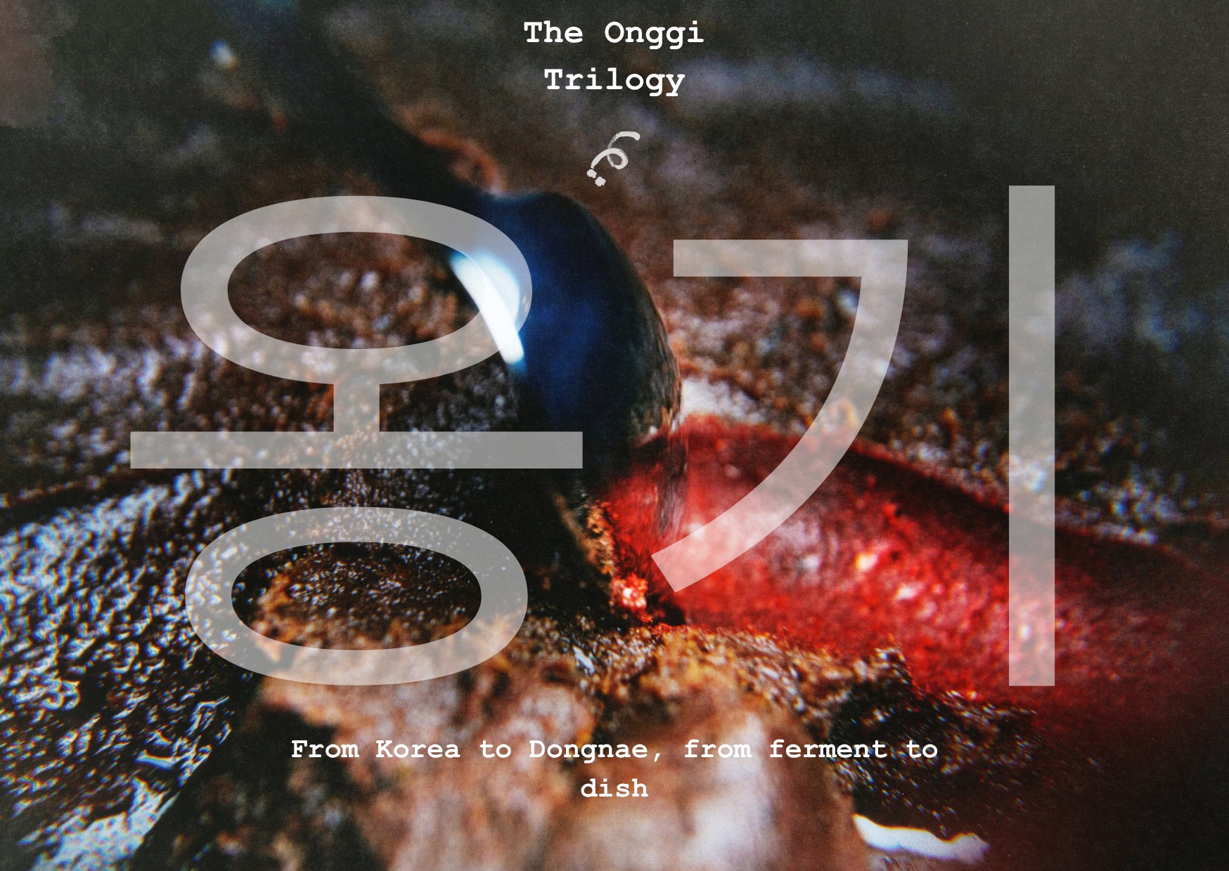 Onggi imagery newsletters